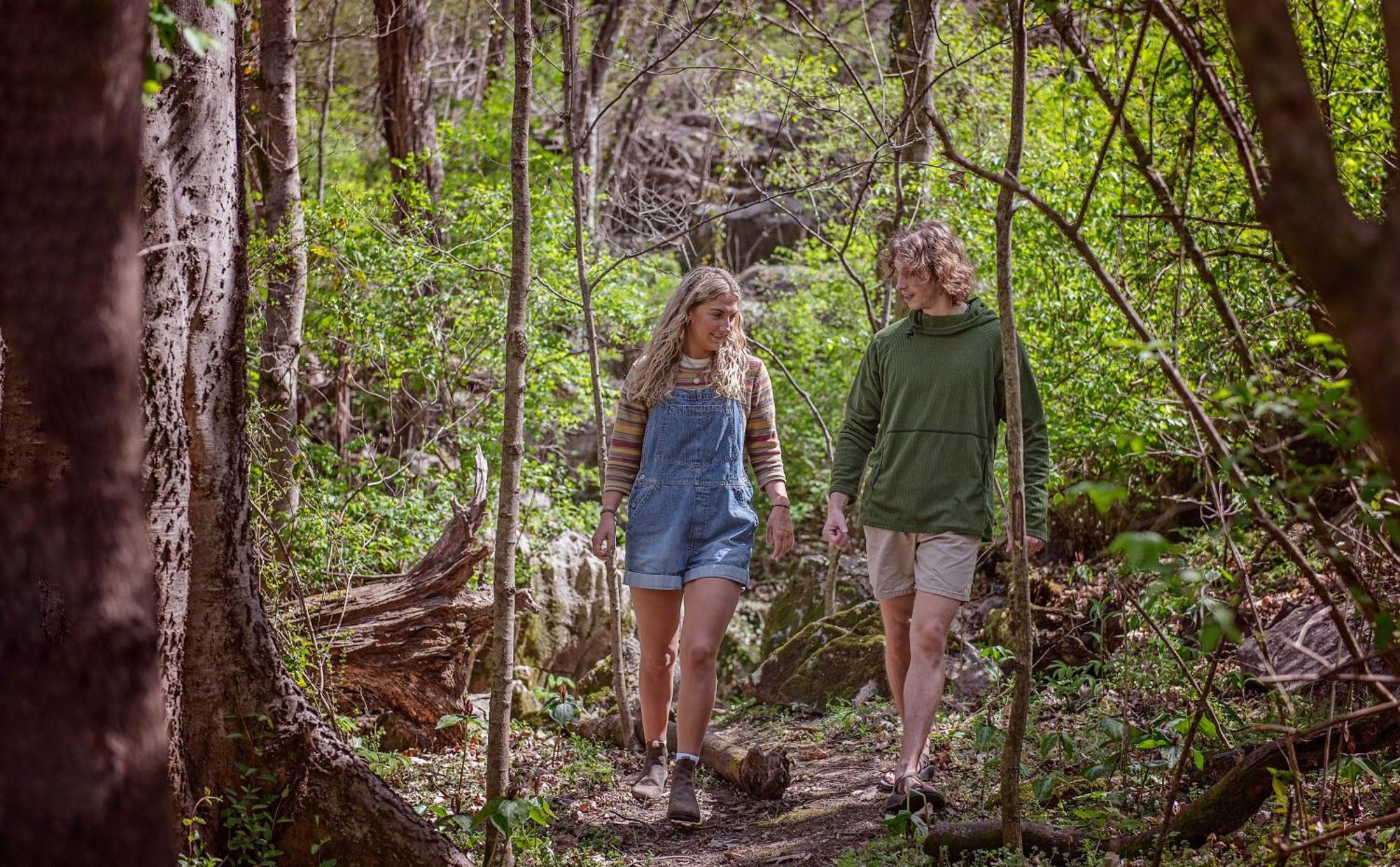 Lena Cabin Wooded Tiny Cabin - Hot Tub チャタヌーガ エクステリア 写真